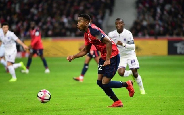 也成为球迷 也成为球迷